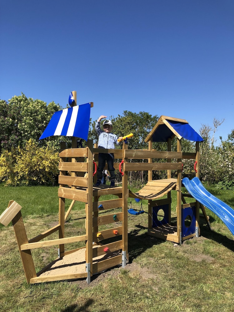 Ostseekrabbe