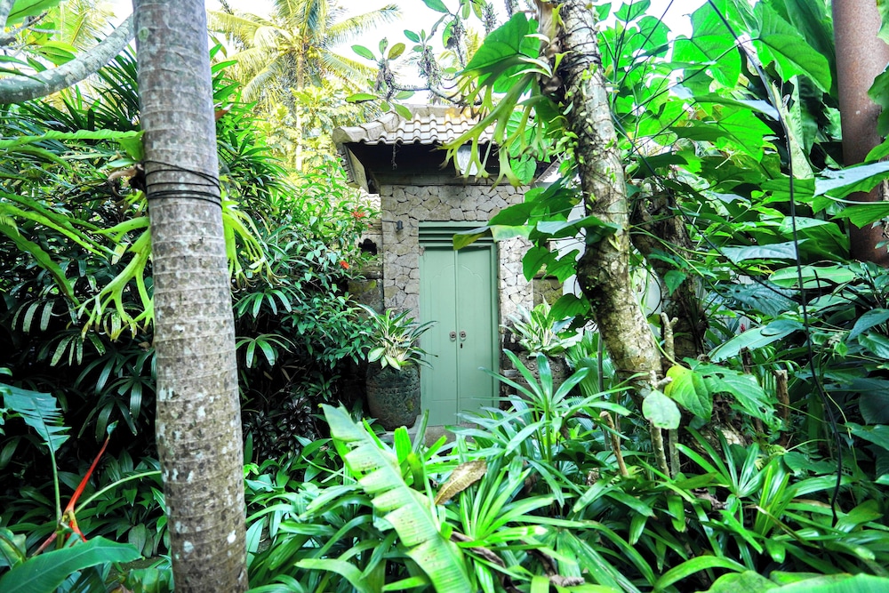 The Ubāri Bali