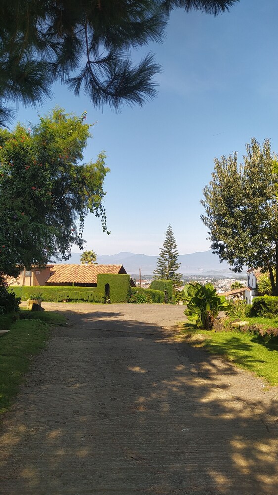 Photo 15