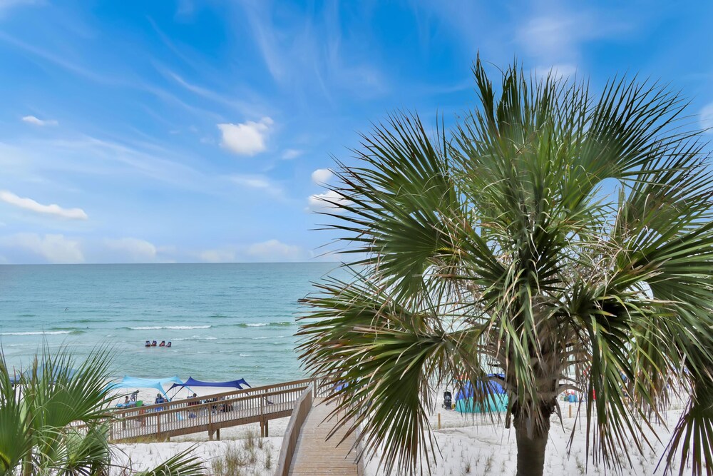 Barrier Dunes 156 - 11 Sand Dollar Dreams