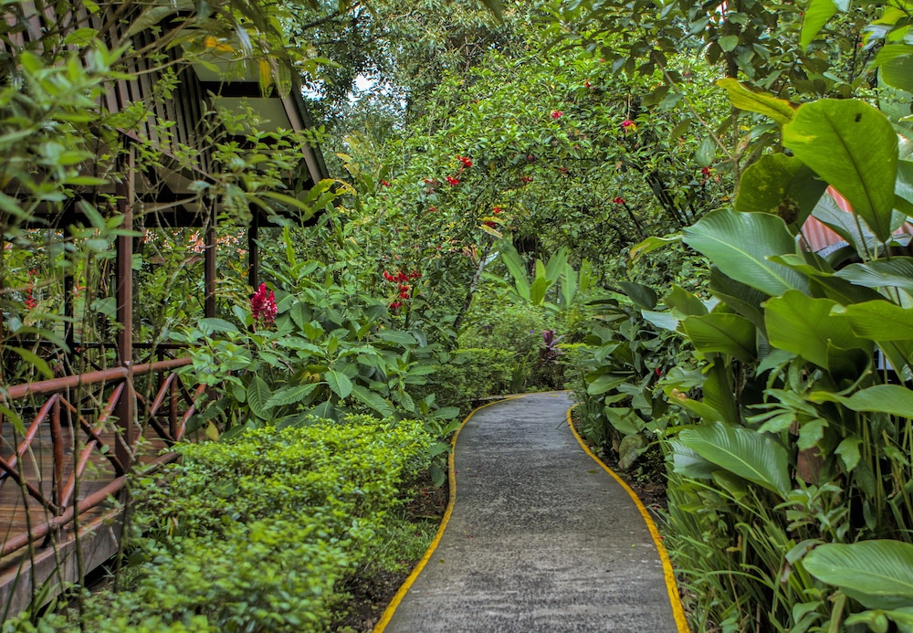 Pachira Lodge