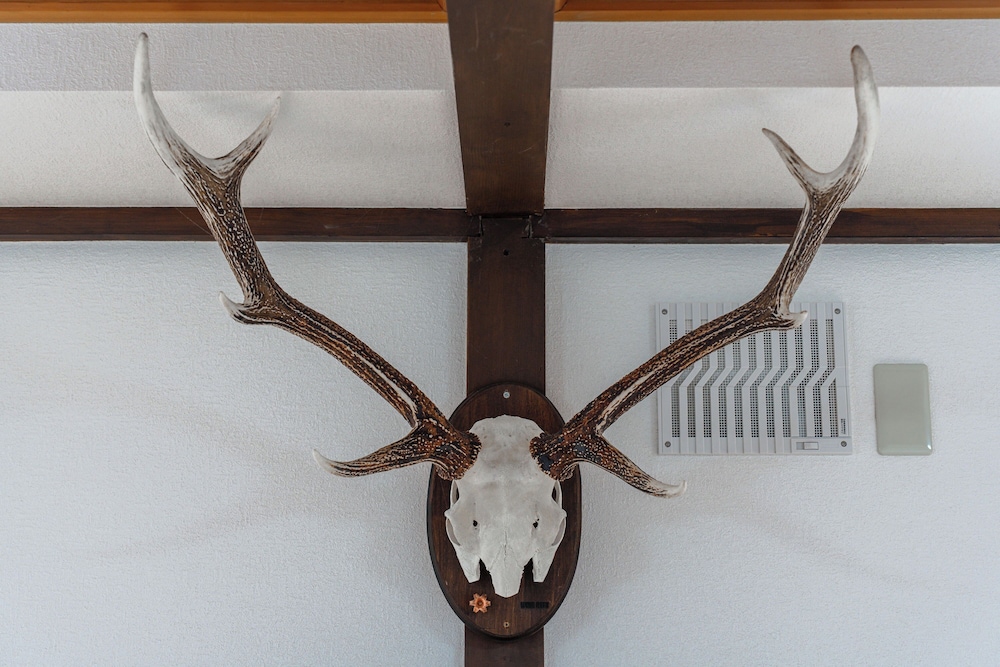 KING DEER