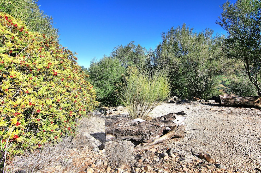 Photo 30
