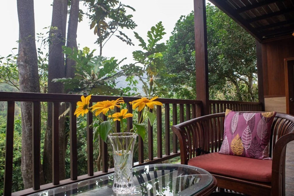 De Serenity - Exclusive Jungle Retreat
