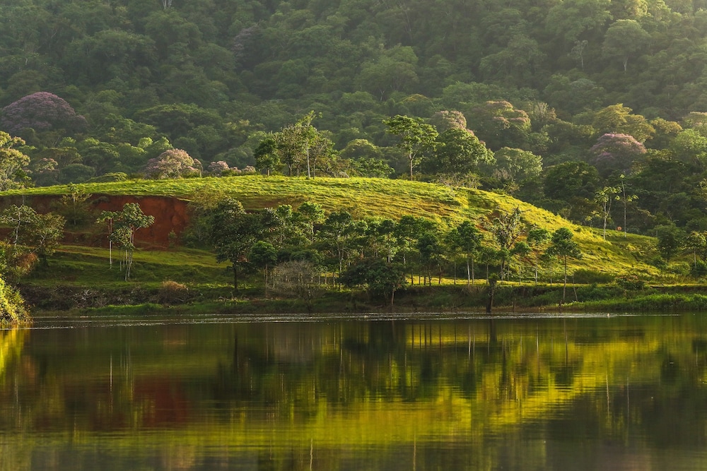 Tapir Lodge