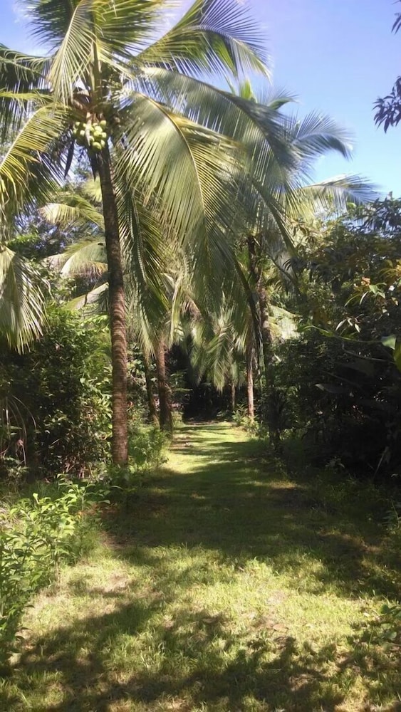 Casa Grande Ecolodge at Pacuare Reserve