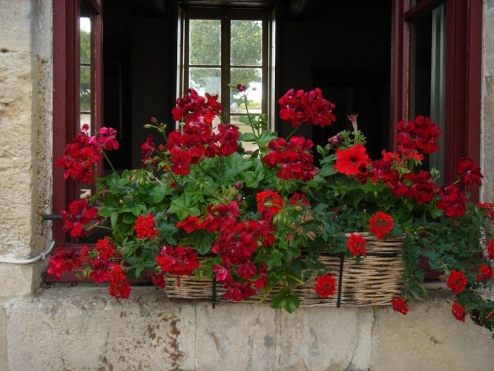 Manoir de la Rivière