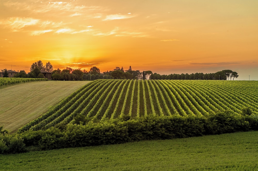 Tenuta Cà Bassa