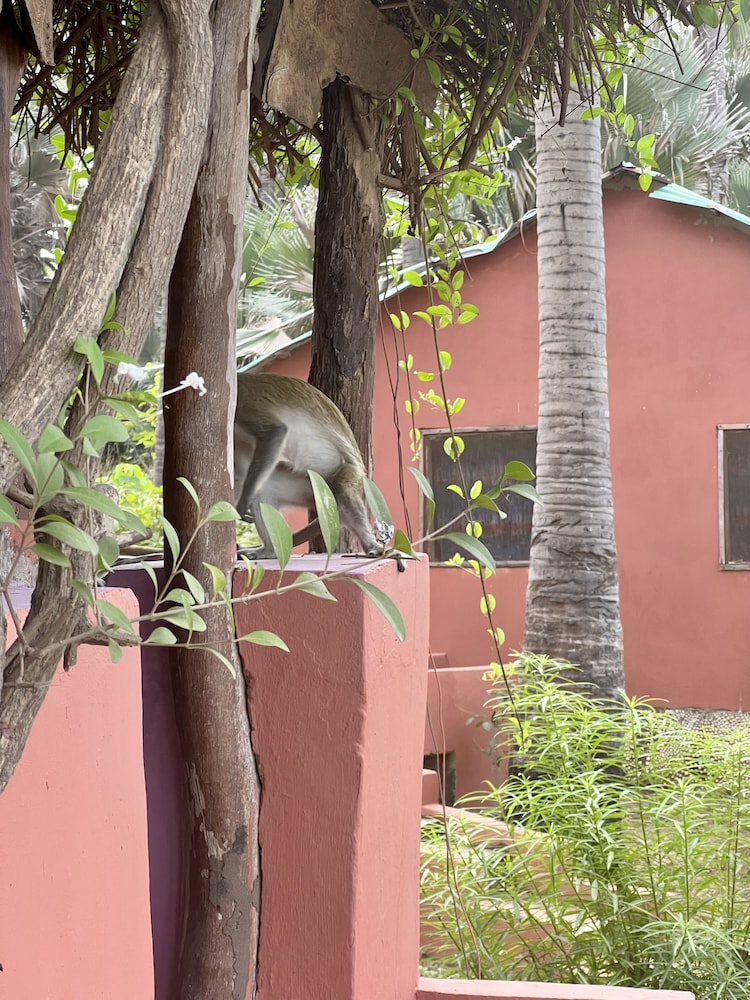 Nemasu Eco-Lodge