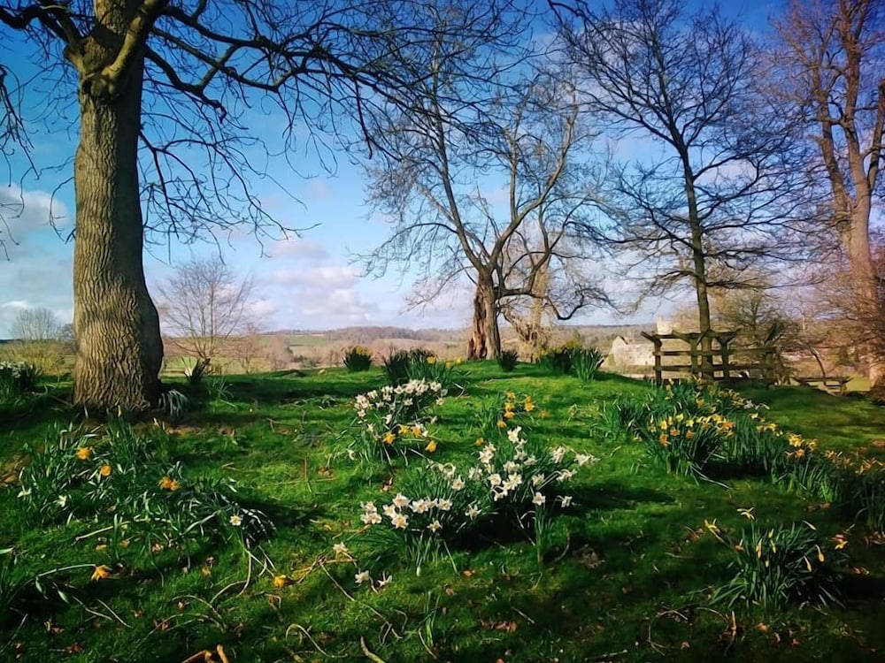 Carlton Lodge