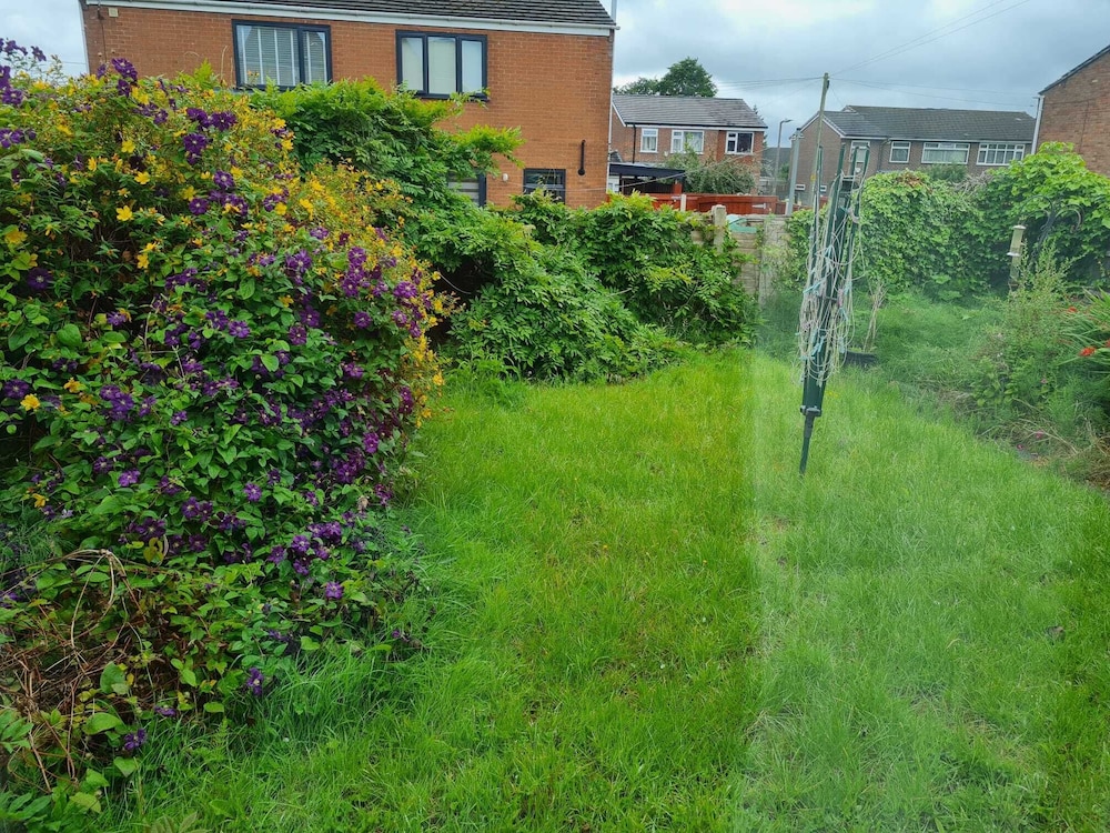 Photo 29