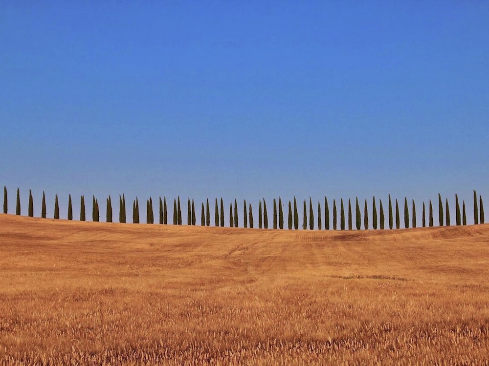 Charming Tuscan Farmhouse view 3