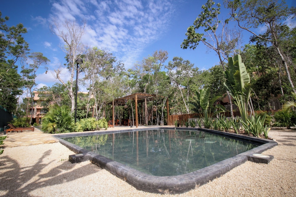 Private & Exclusive Apt Garden pool view 4