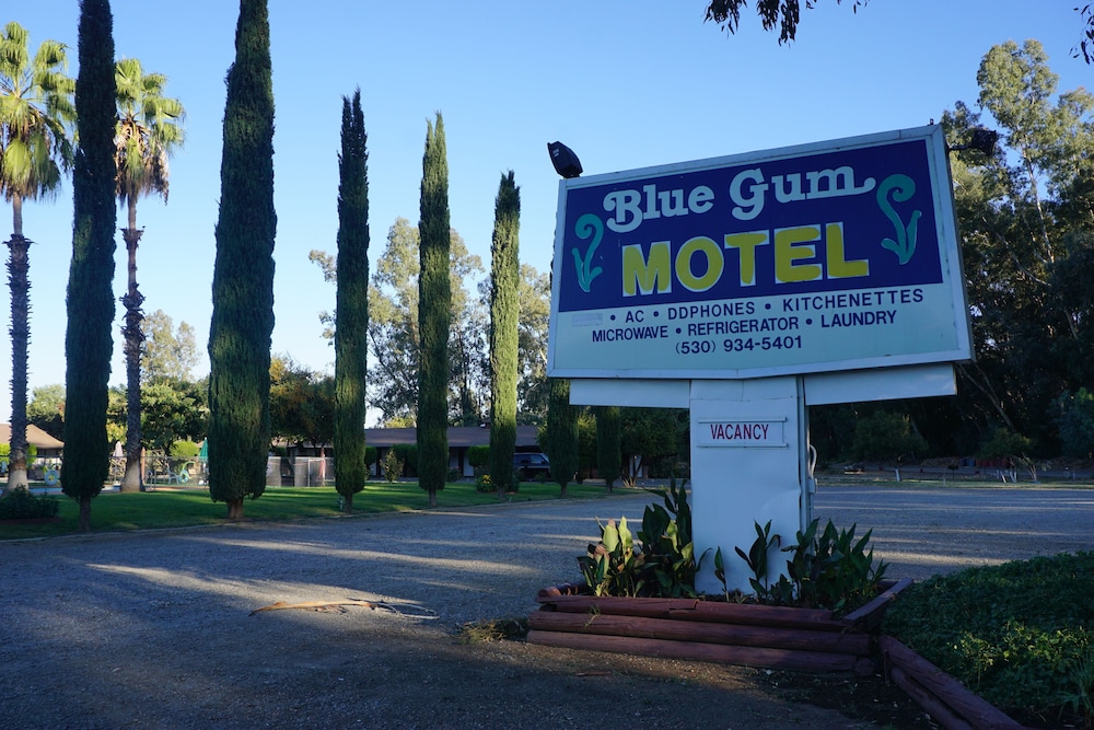 Willows Vacations - Blue Gum Motel - Property Image 1