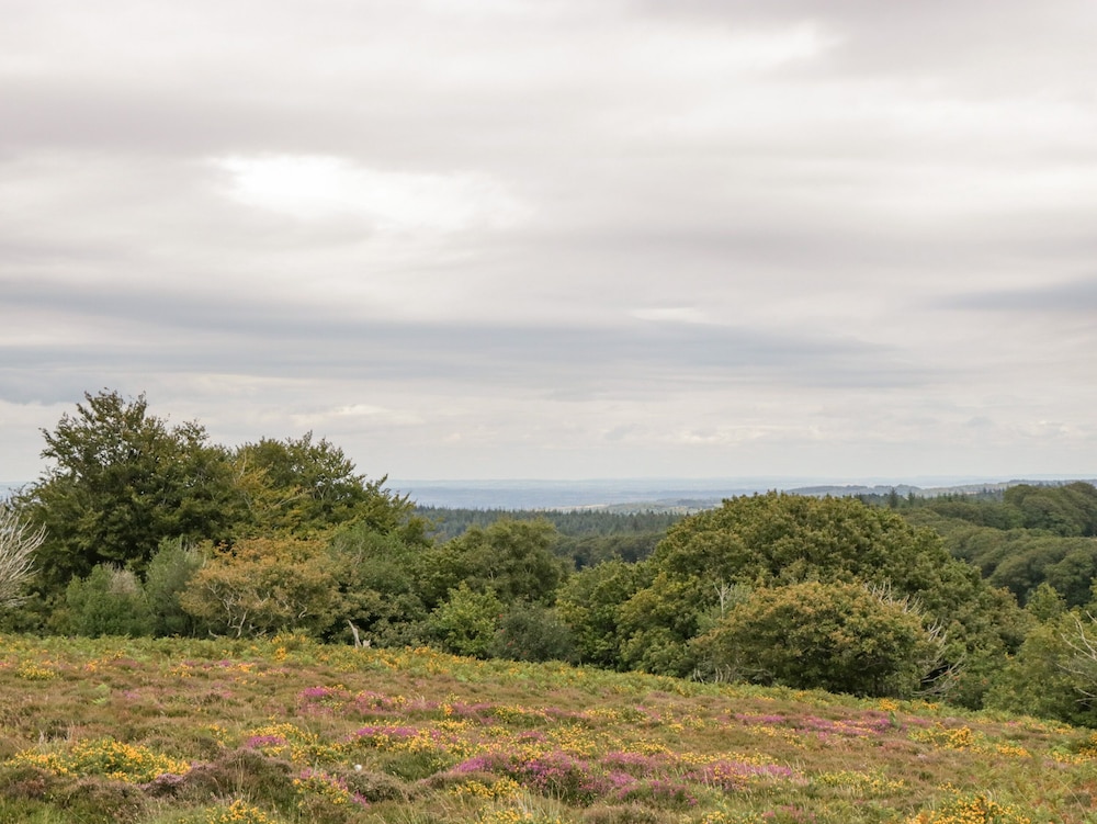 Heathfield