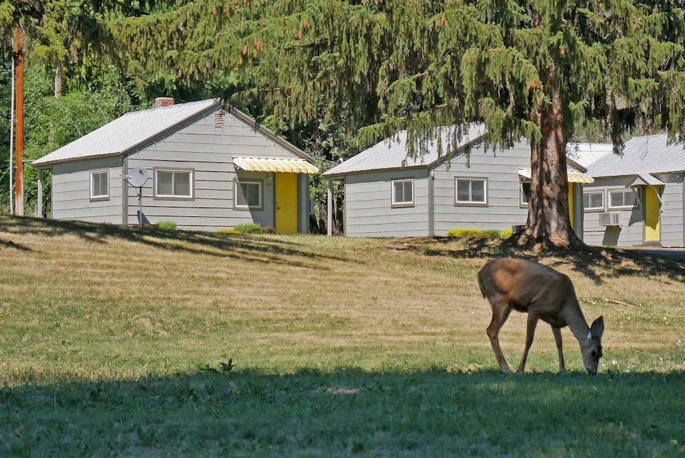 Idle A While Cabins