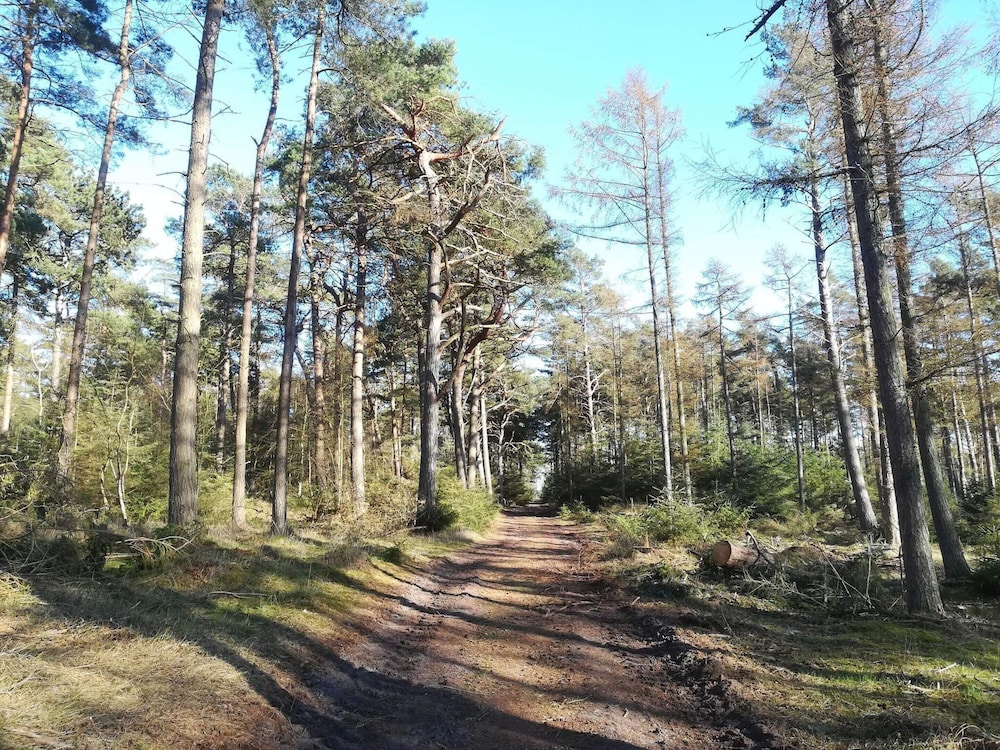 6 Person Holiday Home in Gedser