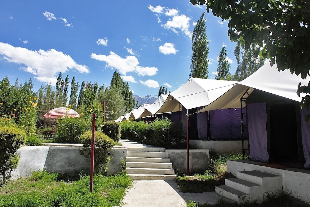Tiger Camp