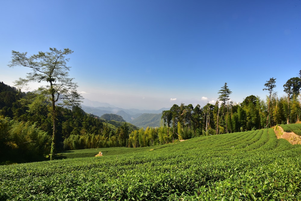 Long Yun Leisure Farm 18
