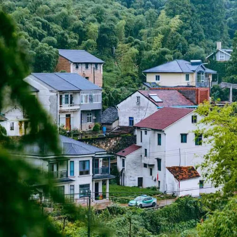 Moganshan Siyan Tea Garden Homestay
