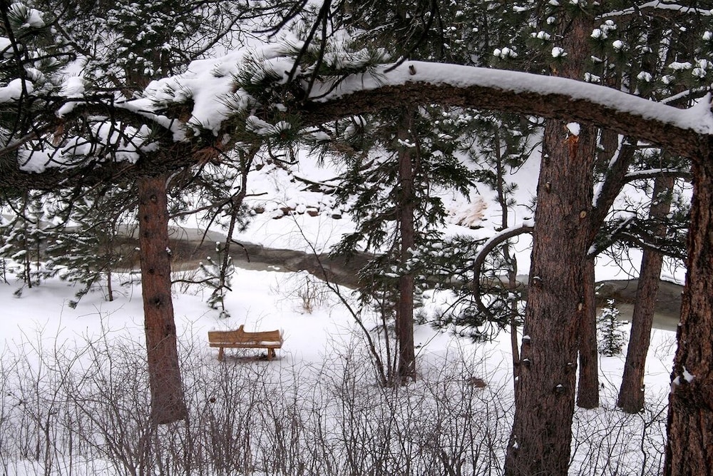 Photo 8