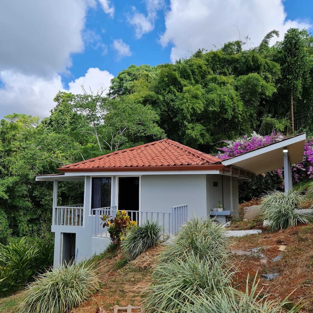 Colinas Tinamastes