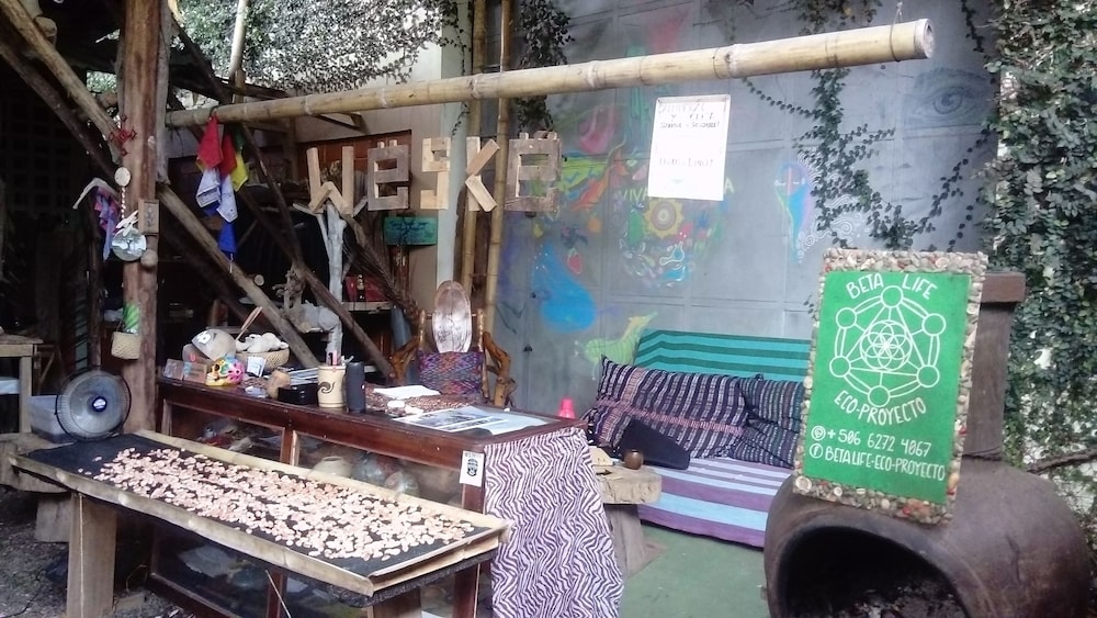 Beta Life Eco Proyecto Hostel — photo 3
