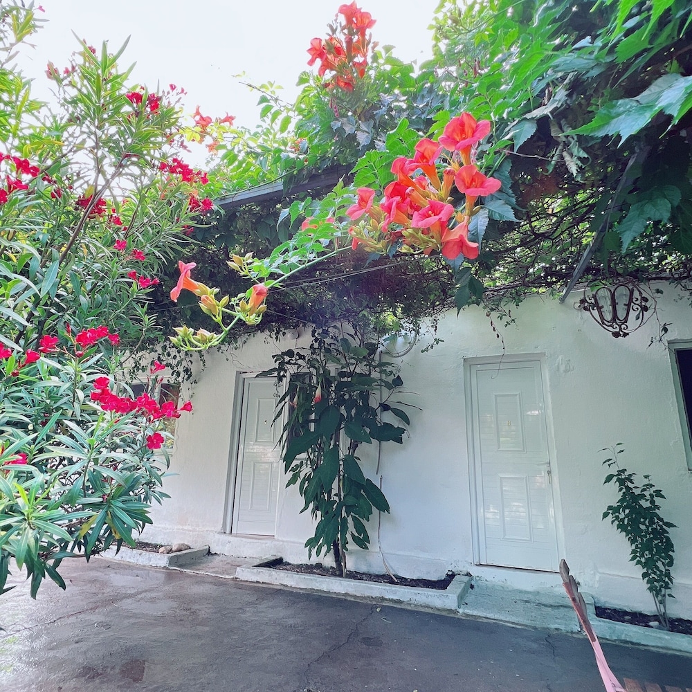 Garden Villa Naza