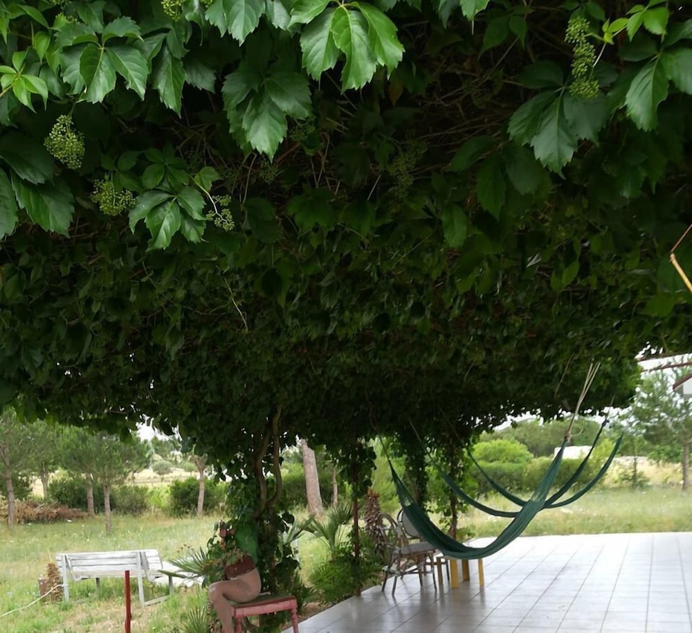 Photo 43