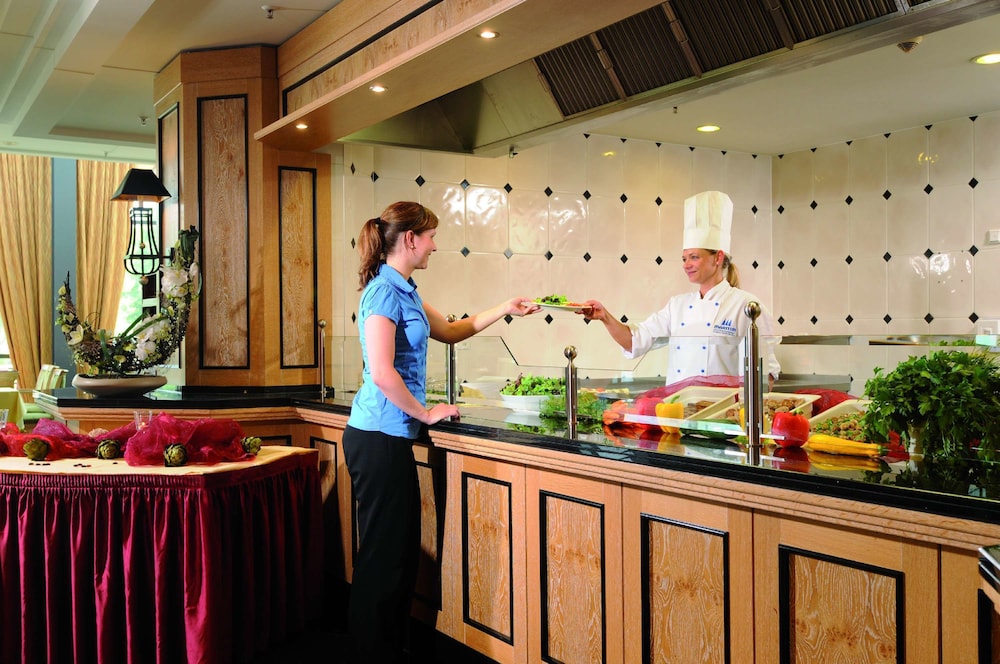 Dresden Vacations - Maritim Hotel  Internationales Congress Center Dresden - Property Image 10