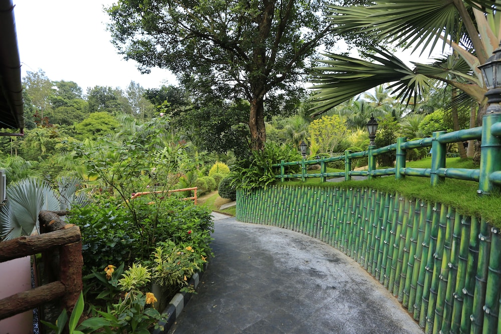 Photo 48