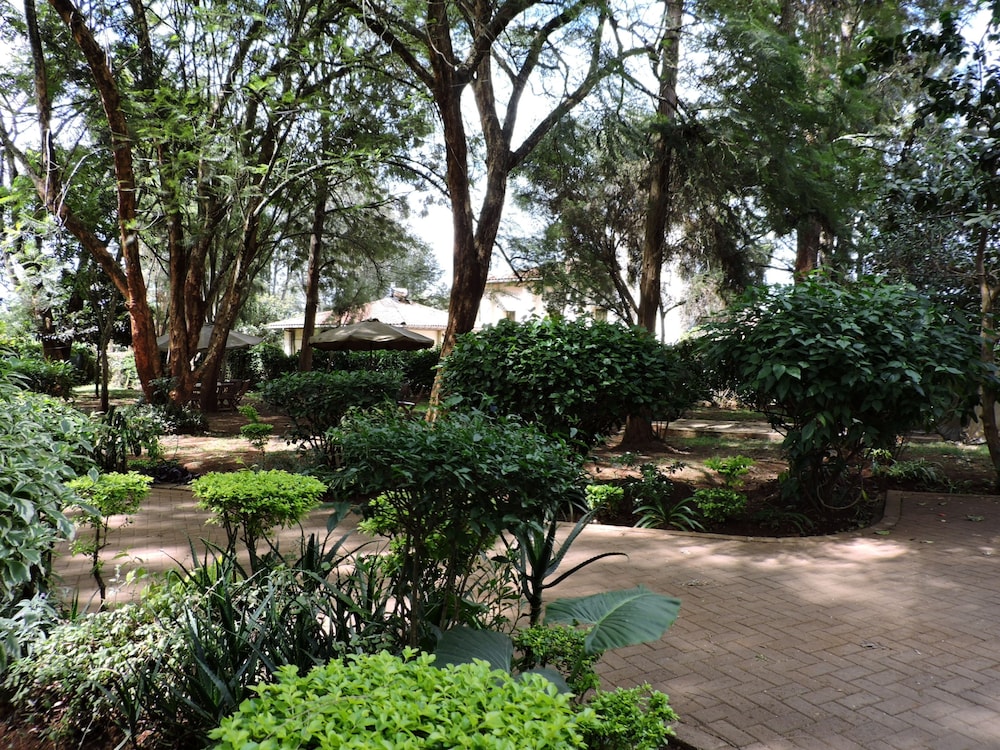Milimani Backpackers