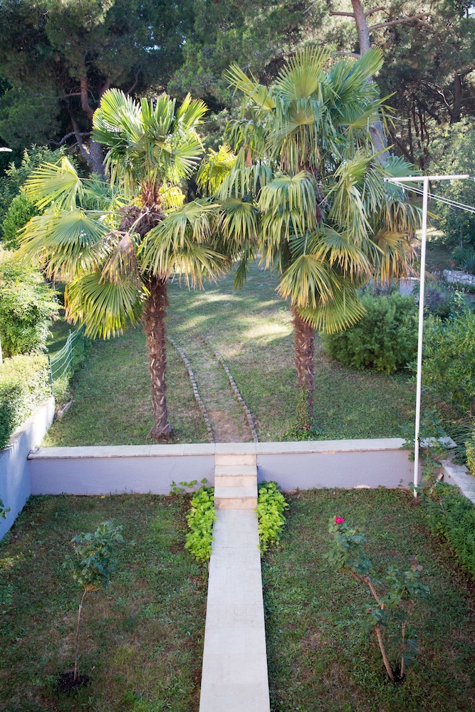 Photo 45