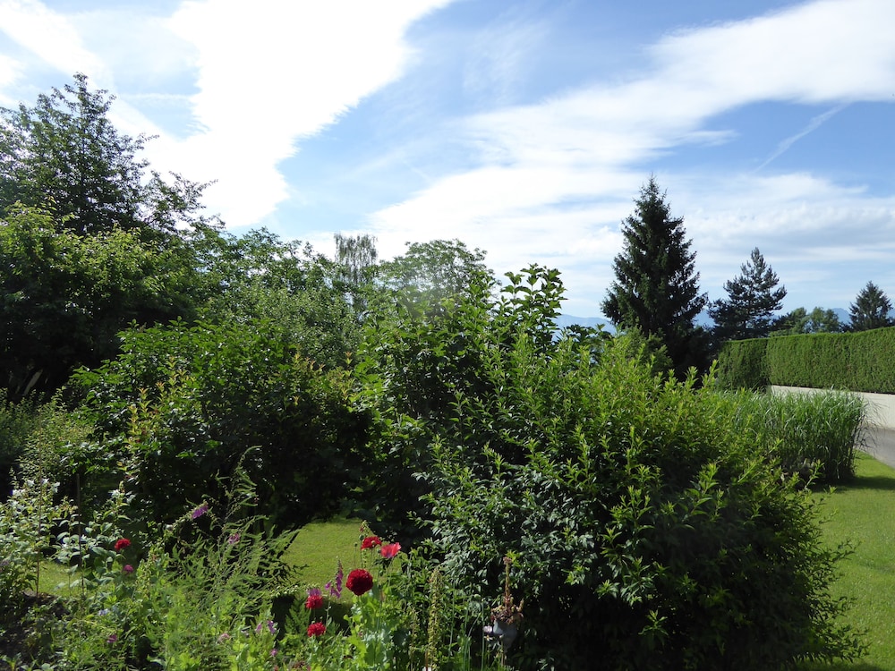 Pension & Cafè Waldschenke