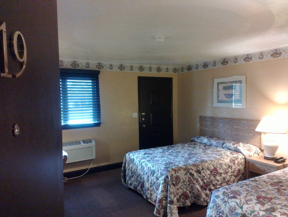 Photo 11