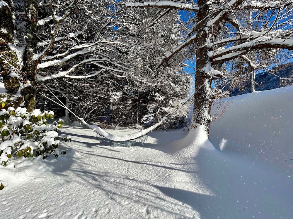 Le Petite Chalet in Rougemont