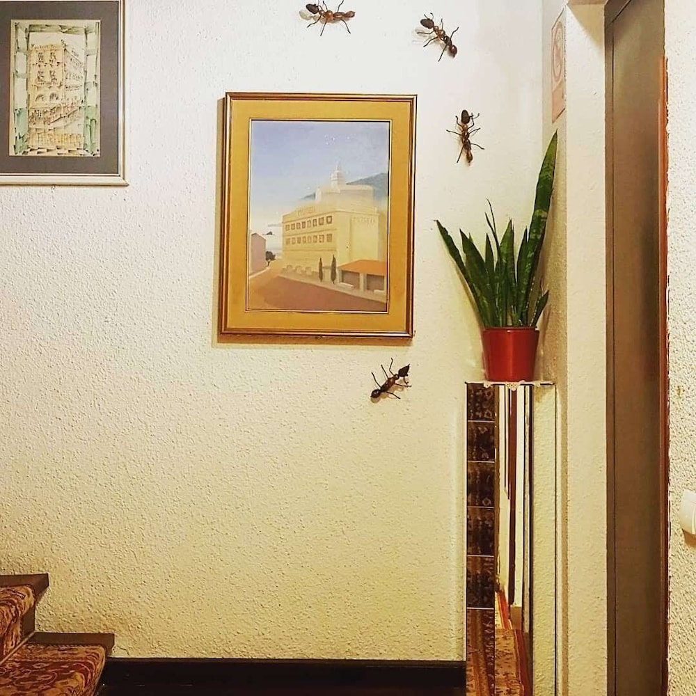 Photo 43