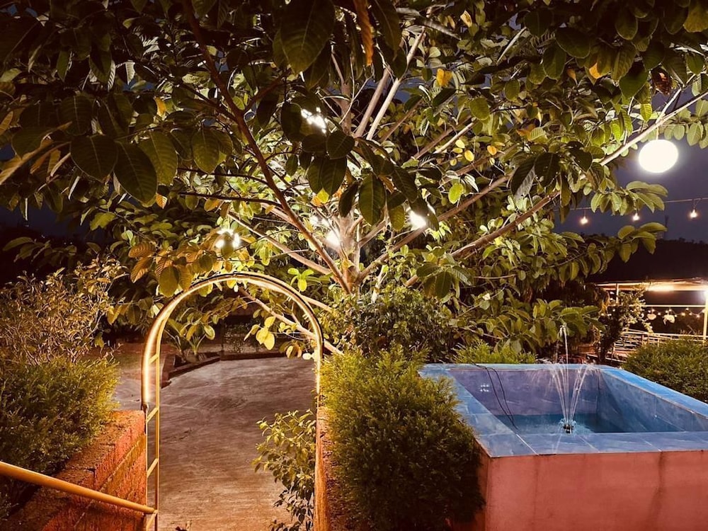 The Alphonso Mango County
