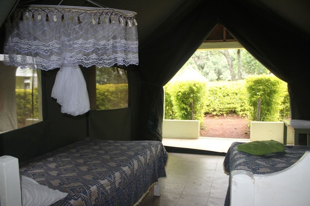 Rhino Camp