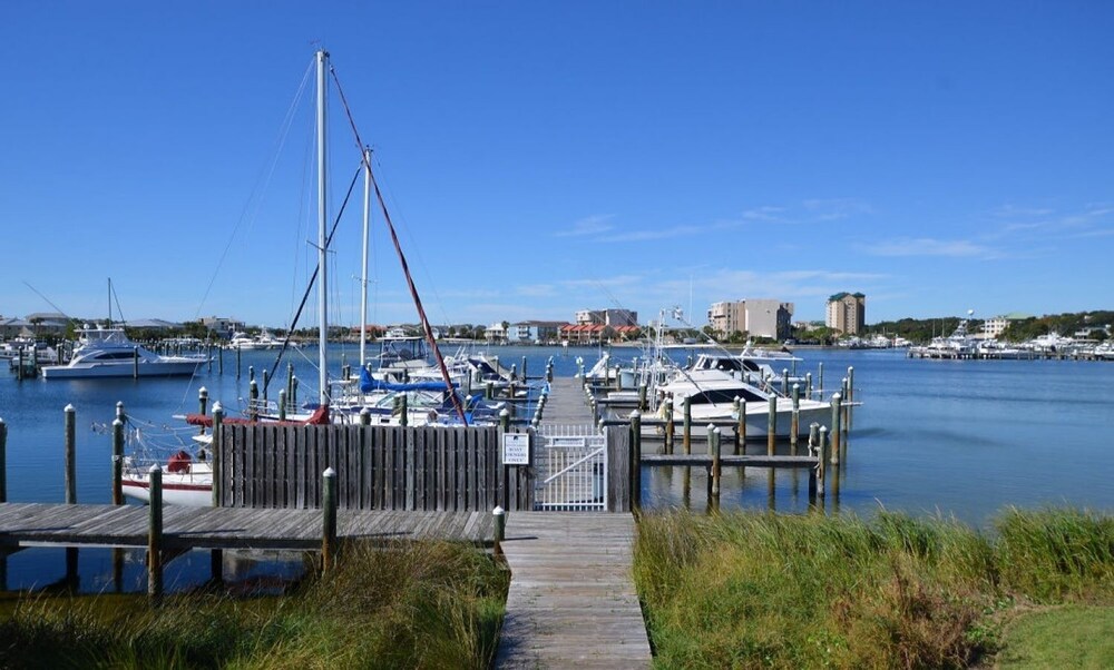 Photo 44