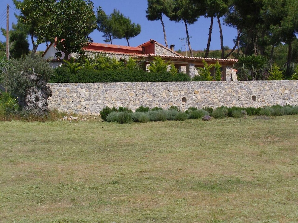 Photo 41