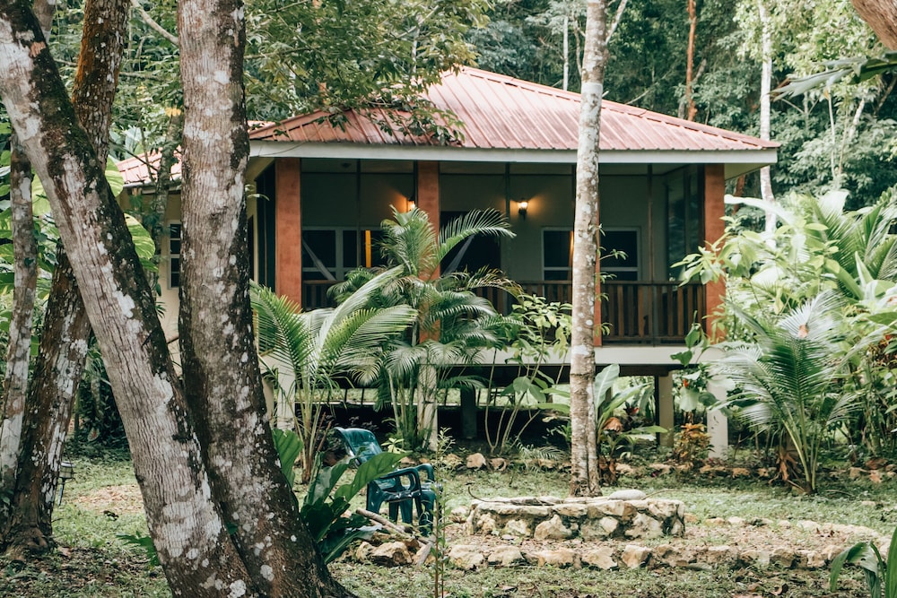 Belize Vacations - The Cabins at Monkey Fall - Property Image 4