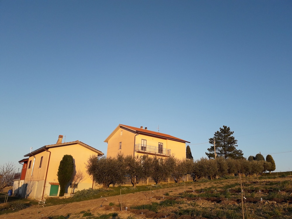 Photo 25