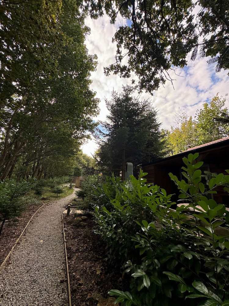 Hayne Barn Estate - Private Estate : 6 Eco Lodges - 1 Studio