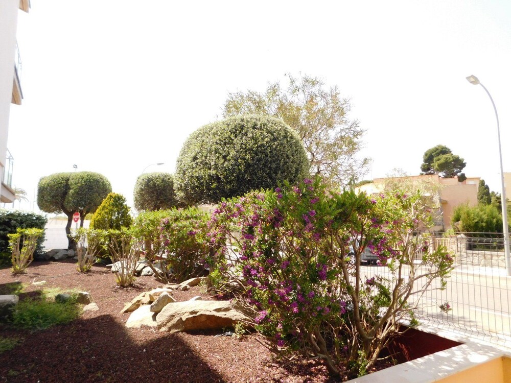 Apartamento Mont Caliu - A146 view 5