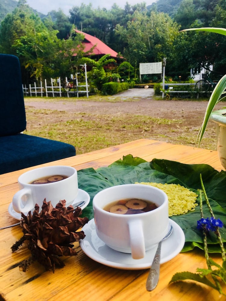 Cat Ba Eco Lodge