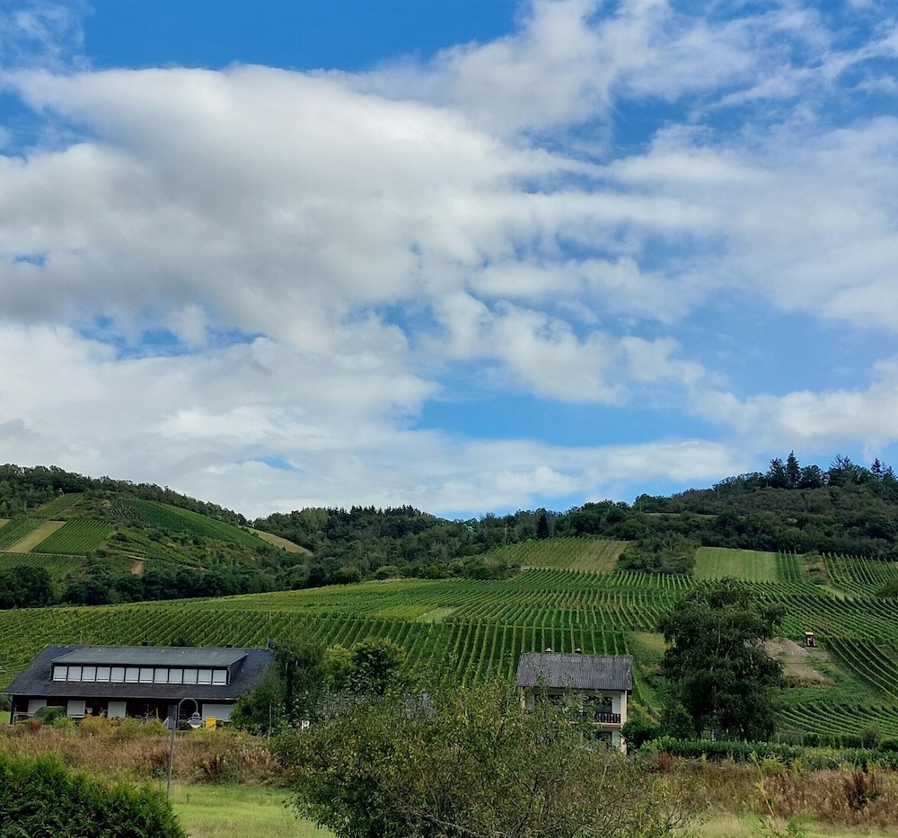 FeWo's Wintrich by Brauneberger Hof