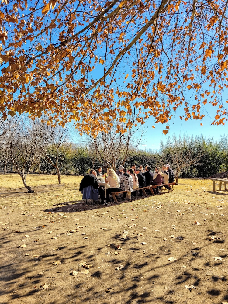 Finca La Saucina