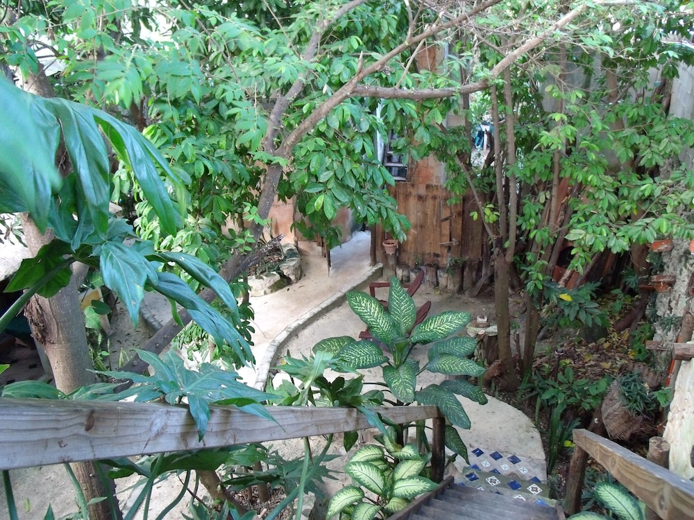 Casitas Kinsol