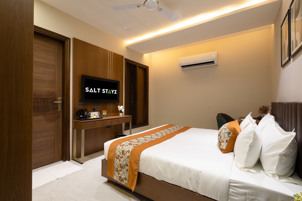 Saltstayz Premier Naraina Central Delhi